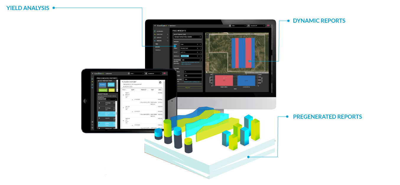 example report insights