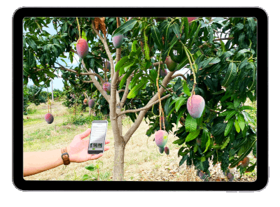 CAI mobile scouting in field